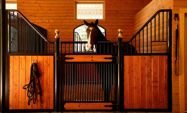 Stajnia przednia z końmi z plastikowymi panelami ochronnymi Stajnia dla koni